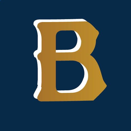 Brelopolis Favicon